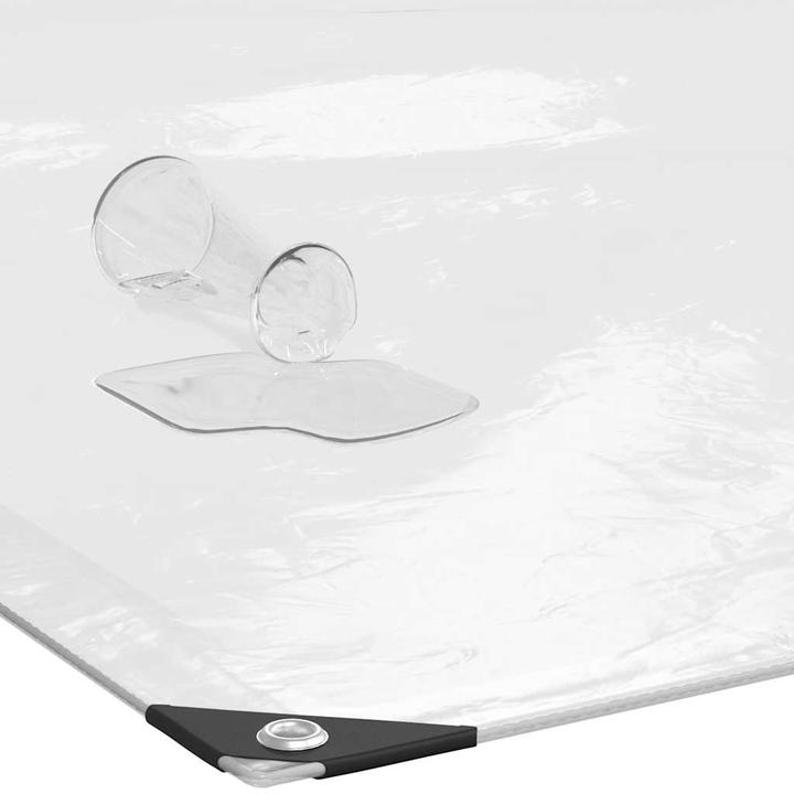 Immagine prodotto VidaXL Telone trasparente con occhielli (400 x 500 cm)
