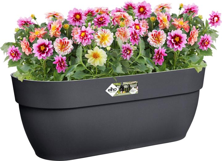 Produktbild Elho Vibia Campana Easy (46 cm)