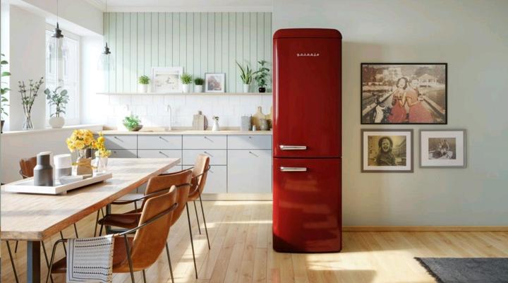 Actual product image Gorenje Gore K?hGefKo ONRK619DR-L D rd 739928 (300 l)