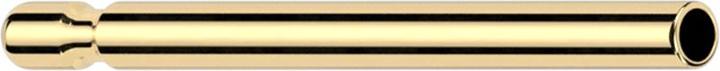 Produktbild Star Piercing Threadless Ohrsteckerstift vergoldet (Titan G23, ohne Messing)