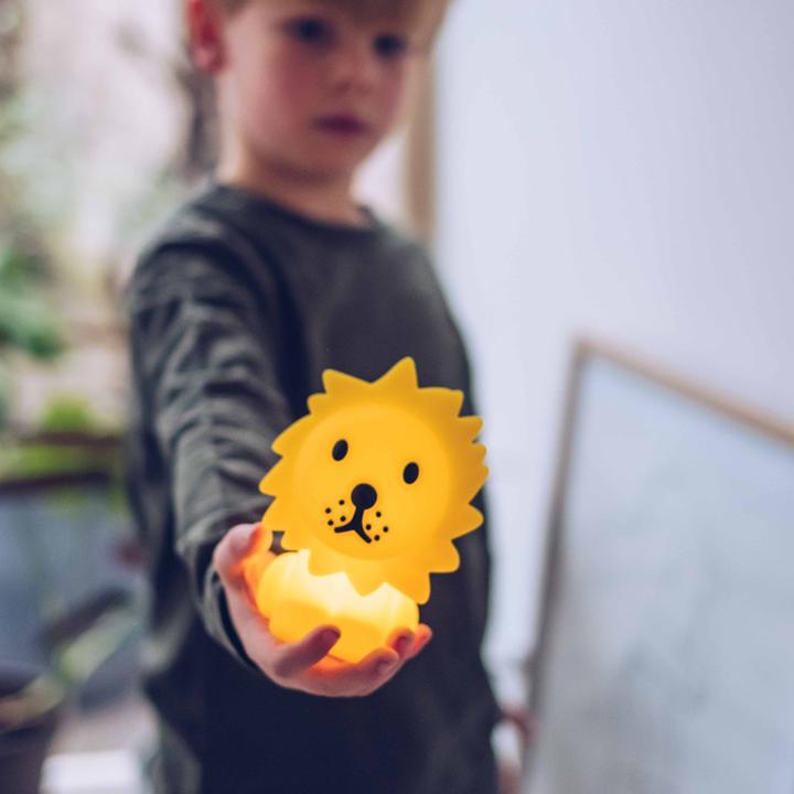 Actual product image Mr Maria Bundle Of Light Lion