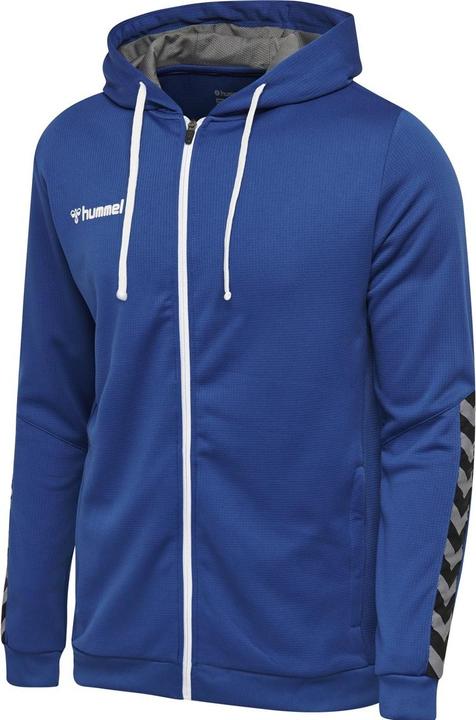 Actual product image hummel Authentic Kids Poly Zip Hoodie (176)