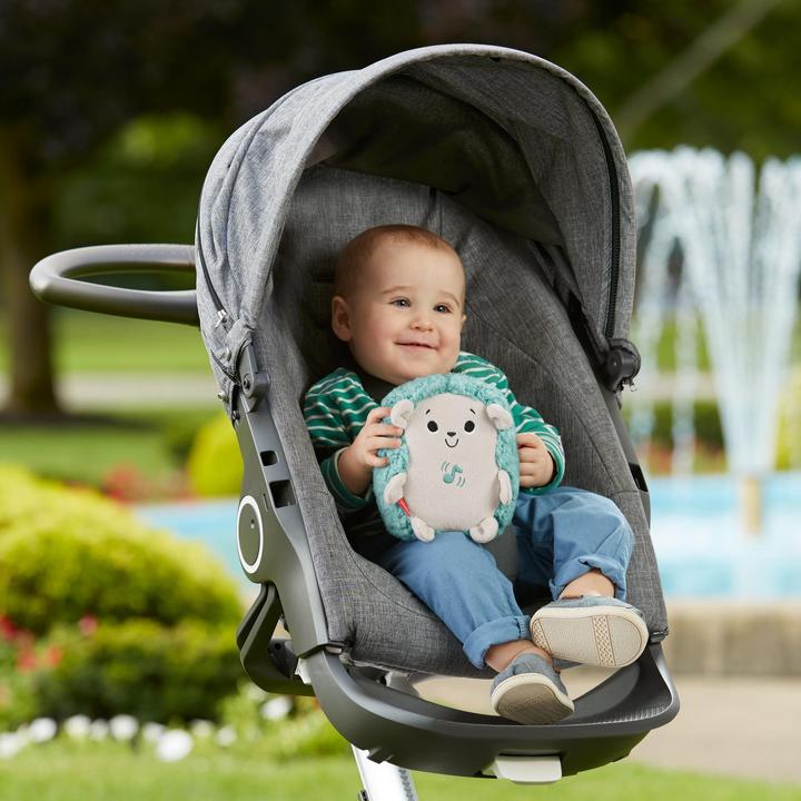 Produktbild Fisher-Price Beruhigende Klänge Igel