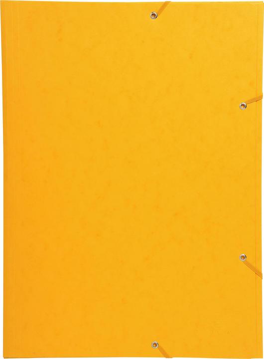 Actual product image Exacompta Collection folder with elastic band (A3, 1 x)