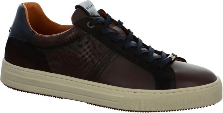 Actual product image Ambitious Anapolis (43)