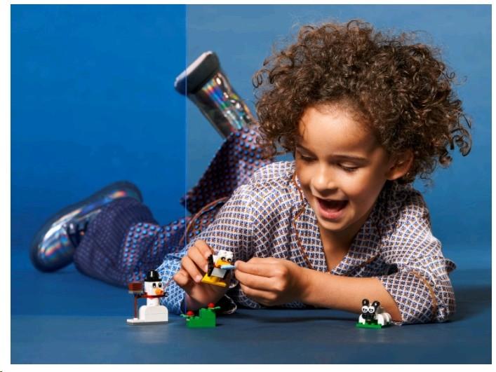 Actual product image LEGO Creative Building Set with White Stones (11012, LEGO Classic)