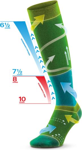 Actual product image Accapi Bodyguard - Recovery Socks (43 - 44)