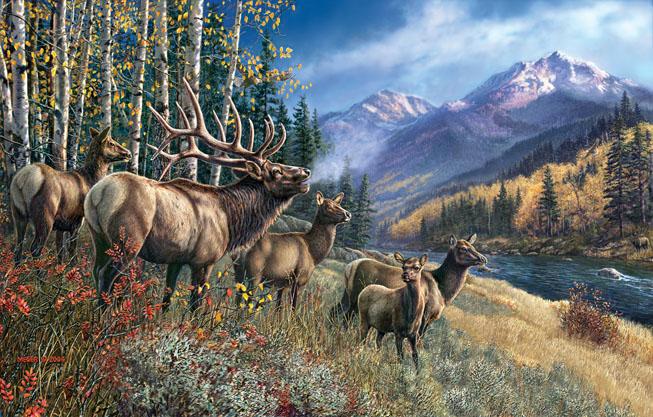 Actual product image Sunsout Puzzle 1000 pieces James Meger - Elk Anthem (1000 pieces)