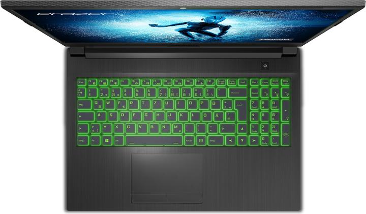 Produktbild Medion Erazer Deputy P25 RTX 3060 (15.60", AMD Ryzen 7 5800H, 16 GB, 1000 GB, CH)