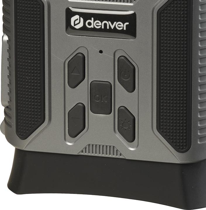 Actual product image Denver Nvi-491