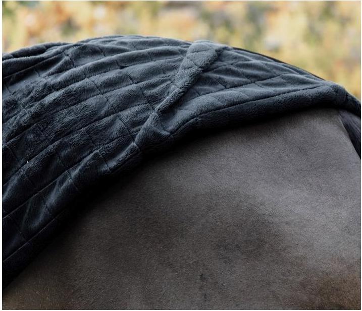 Image du produit Kentucky Horsewear Couverture d'écurie 0g (160 cm)