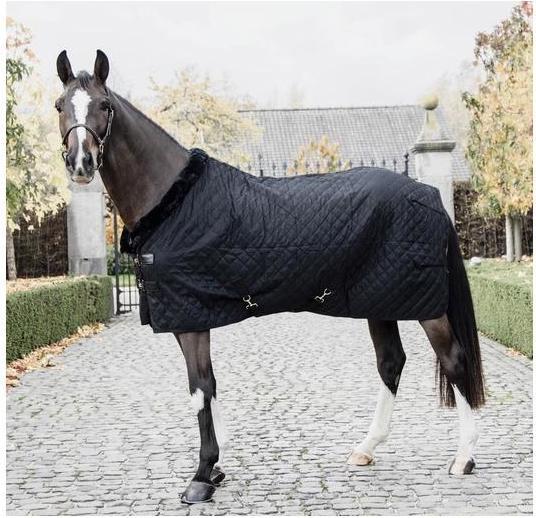 Image du produit Kentucky Horsewear Couverture d'écurie 0g (160 cm)