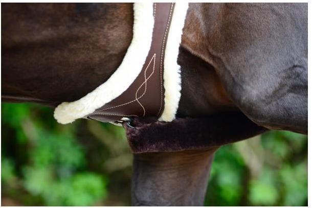 Produktbild Kentucky Horsewear Langgurt anatomisch mit künstl. Schaffell