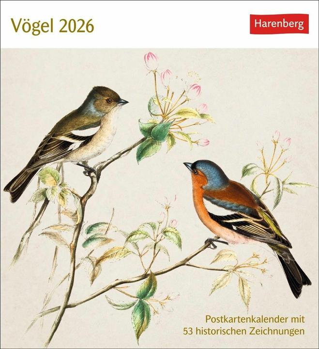 Produktbild Harenberg Vögel Postkartenkalender 2026 - Postkartenkalender mit 53 historischen Zeichnungen (Deutsch)