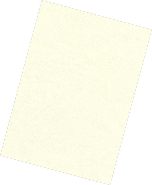 Actual product image Fellowes Delta cover with leather structure, ivory