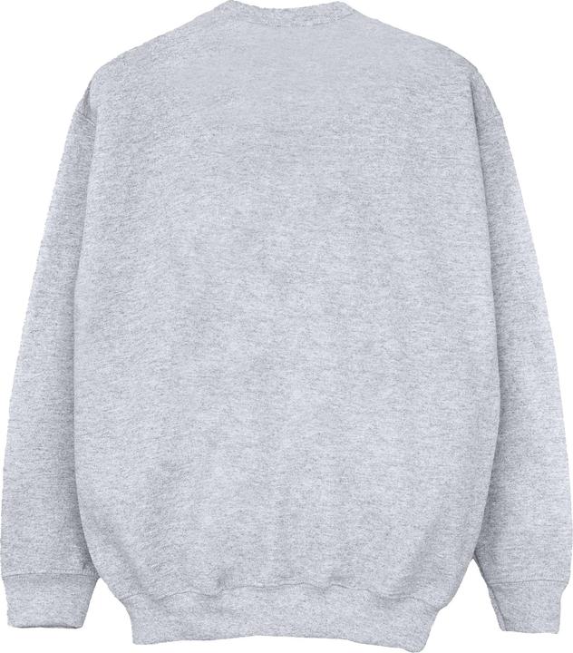 Actual product image Disney Boys High School Musical The Musical Property Of Wildcats Sweatshirt (152, 158)