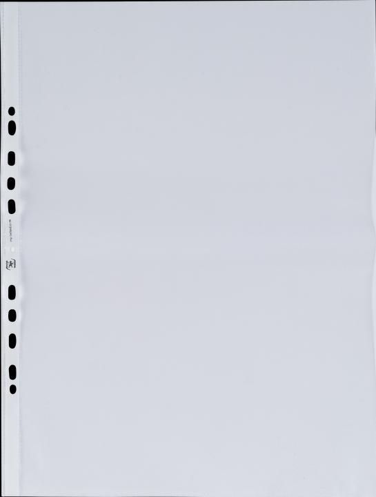 Immagine prodotto Elba Copertina per volantini, DIN A3 verticale, PP, 0,09 mm, granulata, aperta, perforazione Euro, a (A3, 1 x)