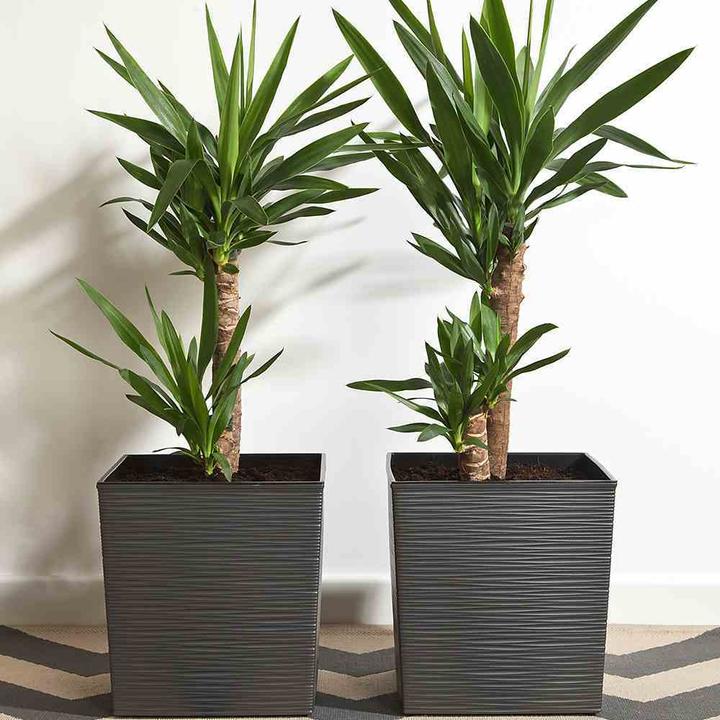 Produktbild Siena Garden Modern (25 cm)