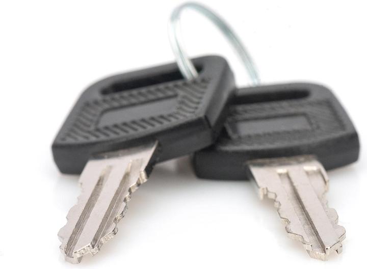 Actual product image Digitus Key for wall-mounted enclosure, 2 pcs. 10", 19" SOHO, 19" Dynamic