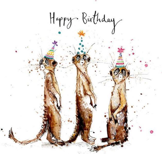 Actual product image Louise Mulgrew Happy Birthday card - Meerkat - by (1 pcs.)