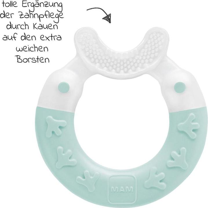 Produktbild MAM Beissring Bite & Brush 3+ Monate, 1 Stk, türkis
