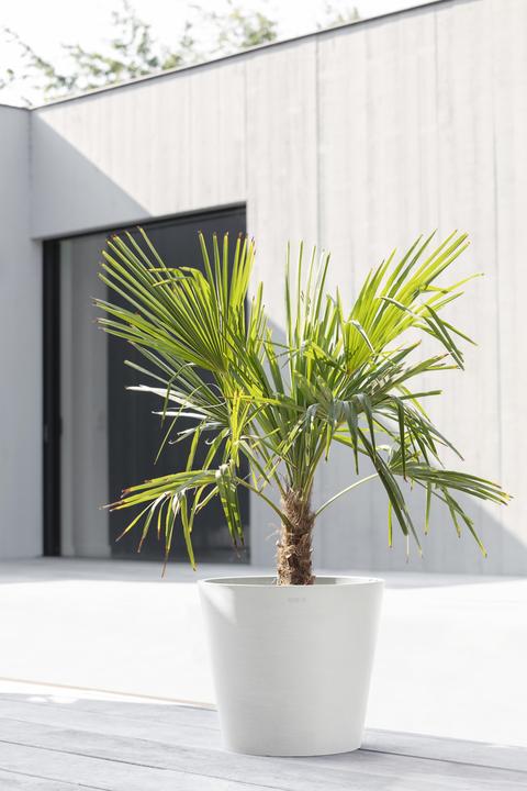 Produktbild Ecopots Amsterdam (40 cm)