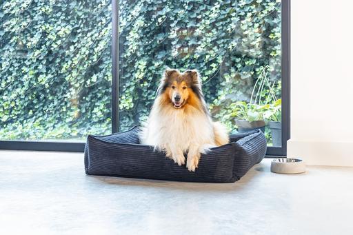 Produktbild Designed by Lotte Ribbed (Hund)