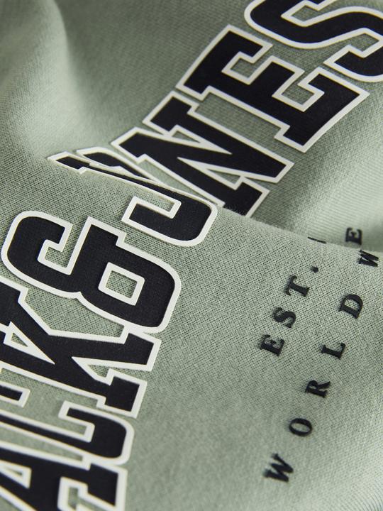 Immagine prodotto Jack & Jones Felpa con logo Mini Felpa (128)