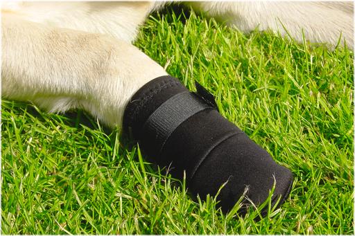 Image du produit Beeztees Bz Protection Pour Pattes Noir Pack De 2 (Chien)