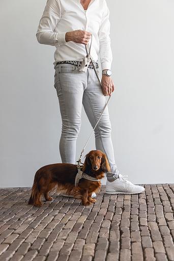 Actual product image Designed by Lotte Velura (XXS, XS, S, M, L, Dog, General)