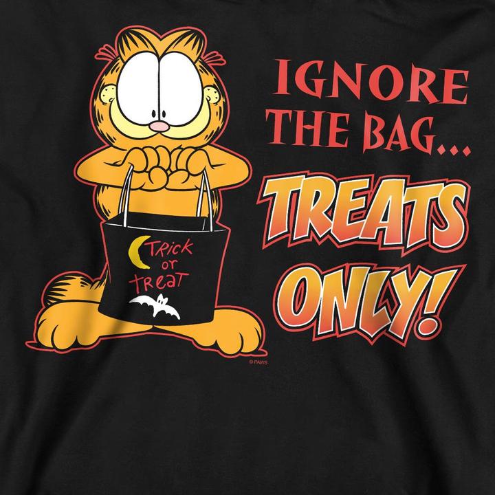Actual product image Garfield Unisex Adult Treats Only Sweatshirt (S)