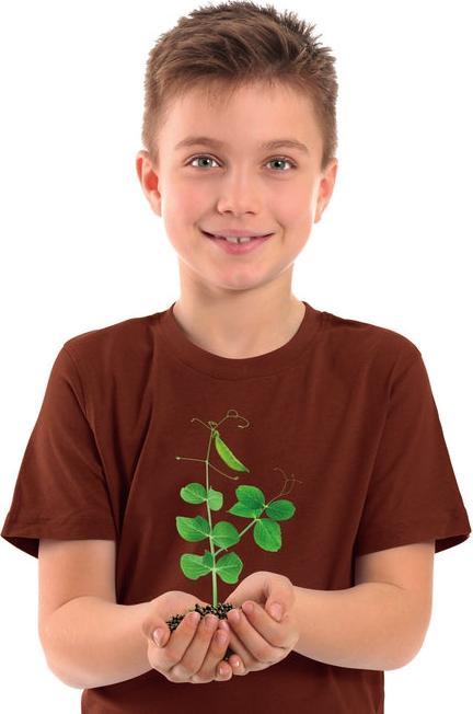 Actual product image Clementoni Botany