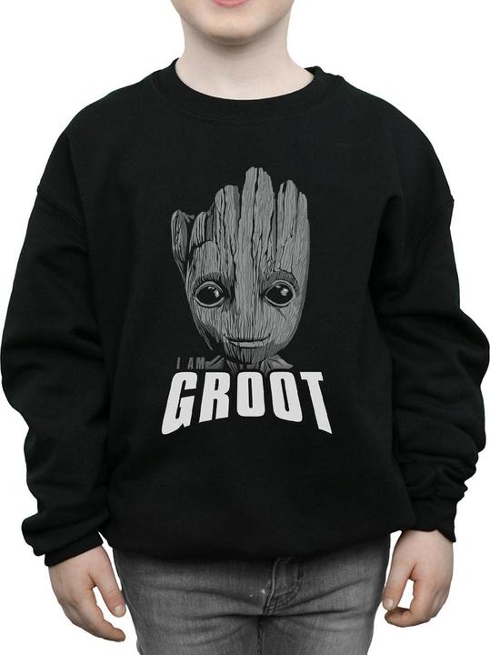 Produktbild Guardians Of The Galaxy Groot Face Sweatshirt Jungen (152, 158)