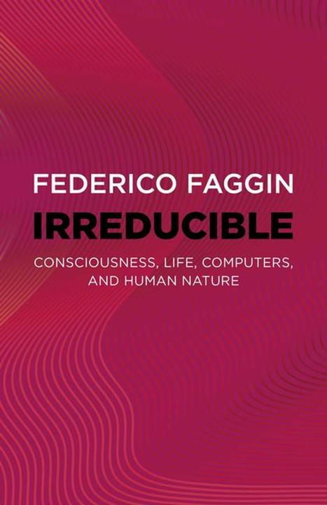 Image du produit Irréductible (Anglais, Federico Faggin, 2024)