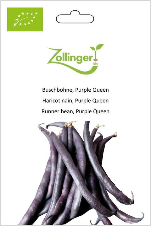 Image du produit Zollinger Bio Haricot nain, Purple Queen