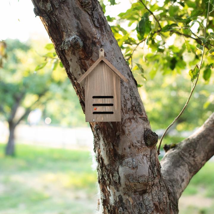 Immagine prodotto Relaxdays La casa delle coccinelle (Coccinelle)