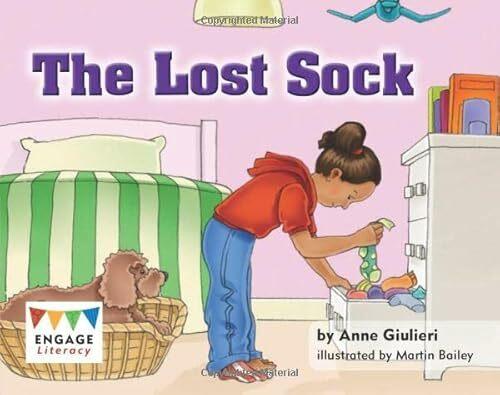 Actual product image The Lost Sock