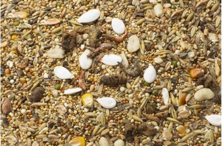 Immagine prodotto JR Farm Mangime per criceti nani di fattoria (0.60 kg, 1 x)