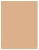 Actual product image Clinique Even Better Clinical Serum Foundation (WN 38 Stone (Vf))