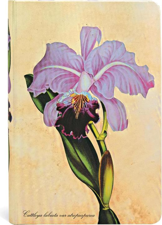 Actual product image Paperblanks Notebook Brazilian Orchid (95 x 140 mm, Lined, Hardcover)