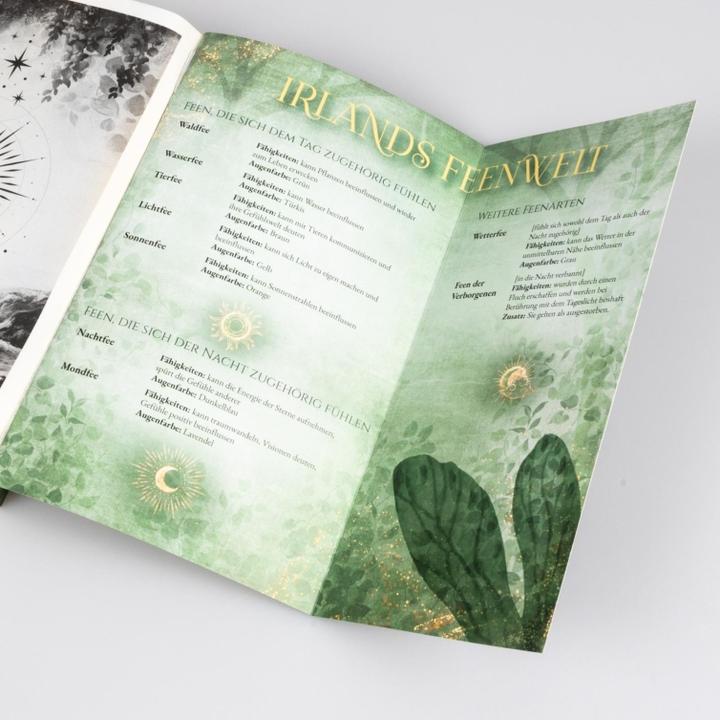 Actual product image Moonlight Academy. Feenzauber (Julia Kuhn, German)