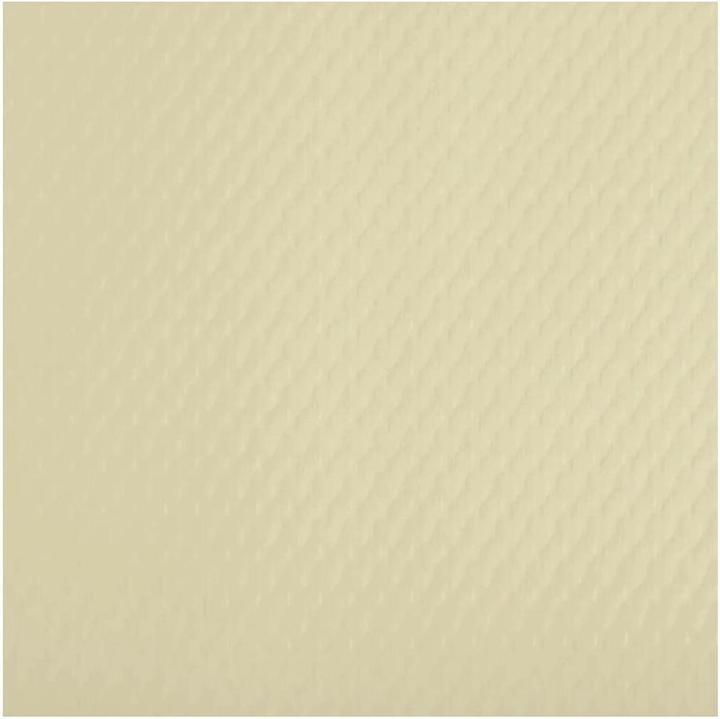 PROnappe Restposten: Einweg-Tischset, 400 x 300 mm, elfenbein (4 x, 30 x 40 cm)