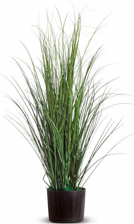 Image du produit Paperflow Grass (80 cm)