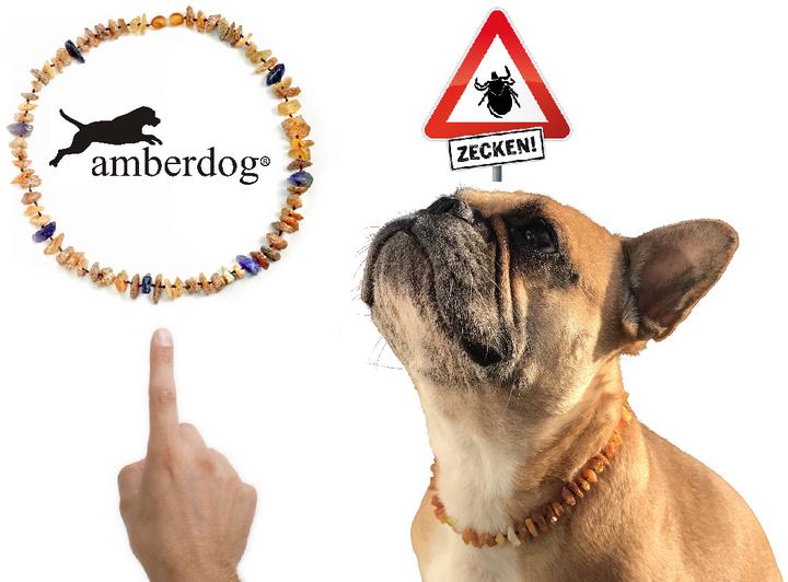 Immagine prodotto Amberdog Collana d'ambra con ametista (Cane)