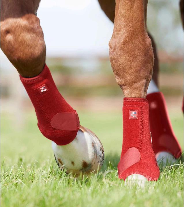 Produktbild Premier Equine gaaschen preier equine air-tech sports edecine