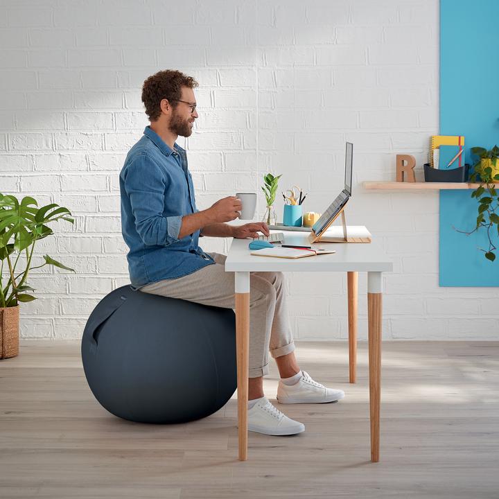 Immagine prodotto Leitz Ergo Cosy (65 cm)