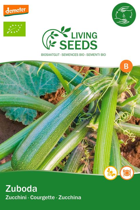 Living Seeds Zucchini, Zuboda (Semi di verdura)