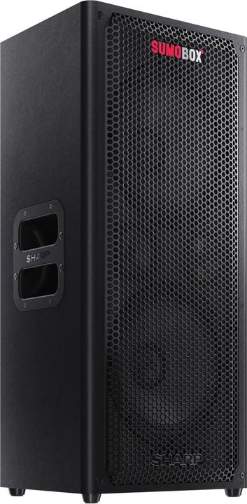 Actual product image Sharp CP-LS100 BT Party Speaker black (10 h, Rechargeable battery operated, Electrical connection)