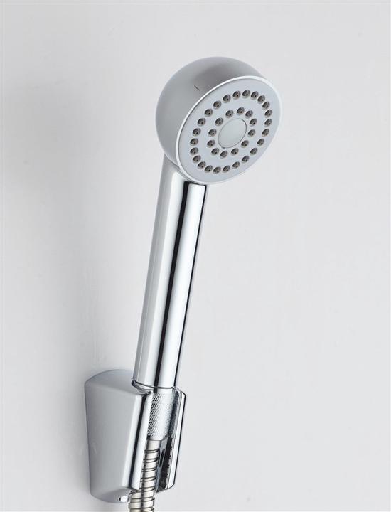 Image du produit Domoletti SET DE DOUCHE DX3010YSC