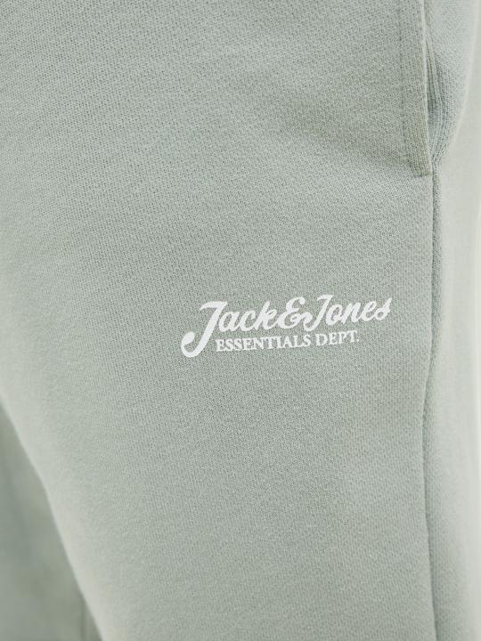 Immagine prodotto Jack & Jones Regular Fit Shorts Shorts (M)